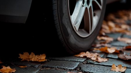 受阻酚抗氧剂标杆，解决根源抗老化难题——欧稳德® AN565